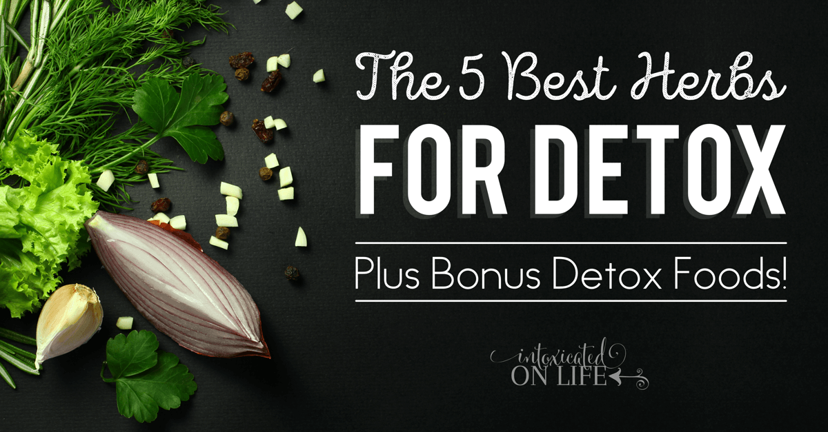 The 5 Best Herbs for Detox (Plus Bonus Detox Foods!)