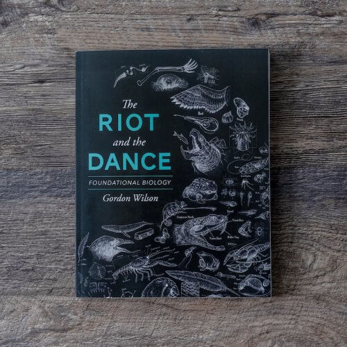 The Riot and the Dance (Textbook)