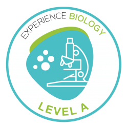 Experience Biology (Elementary Level Course)