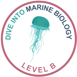 Dive Into Marine Biology (Middle/High School Course)