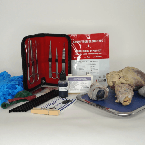 Anatomy & Physiology Lab Kit