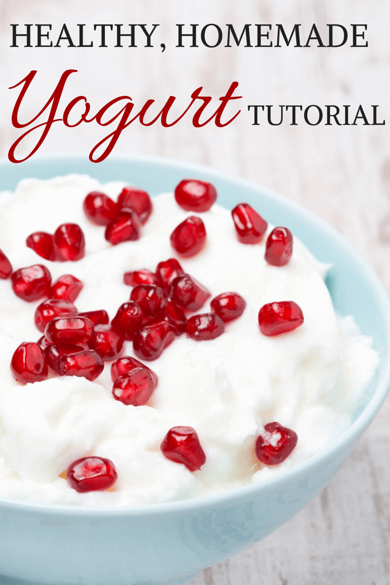 Healthy Homemade Yogurt