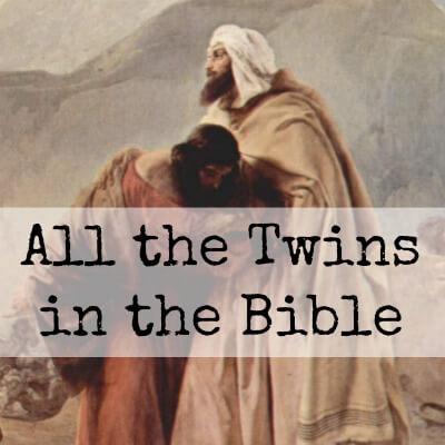 Image result for twins in the bible images