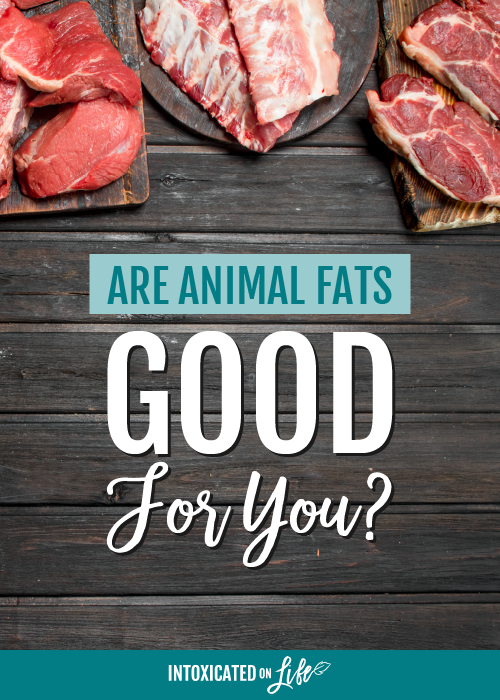 Are animal fats good for you yes they are