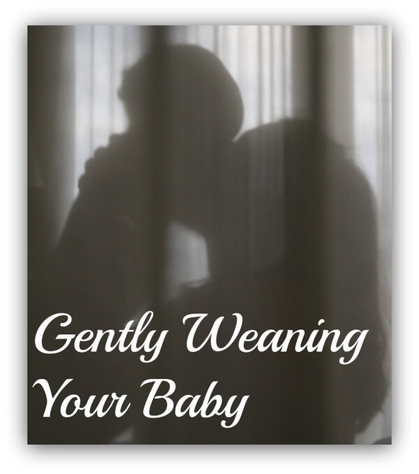 Gently Weaning Your Baby