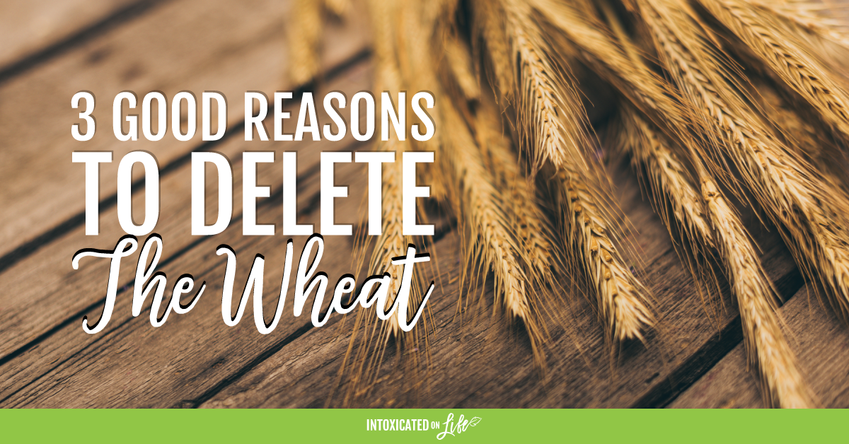 Why is Wheat Bad for You? What Scientific Studies Say