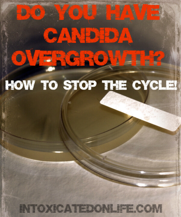 Do You Have Candida overgrowth How to Stop the Cycle!