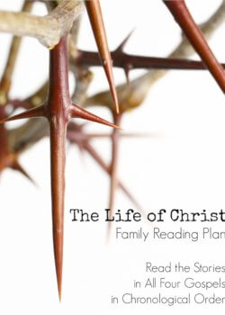 Life of Christ