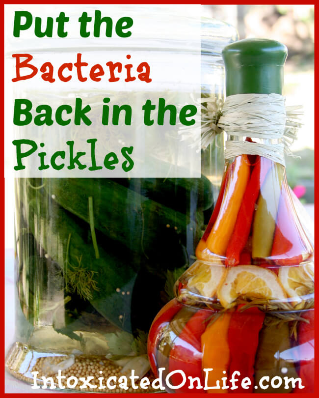 Put the Bacteria Back in the Pickles: Eating Fermented Foods