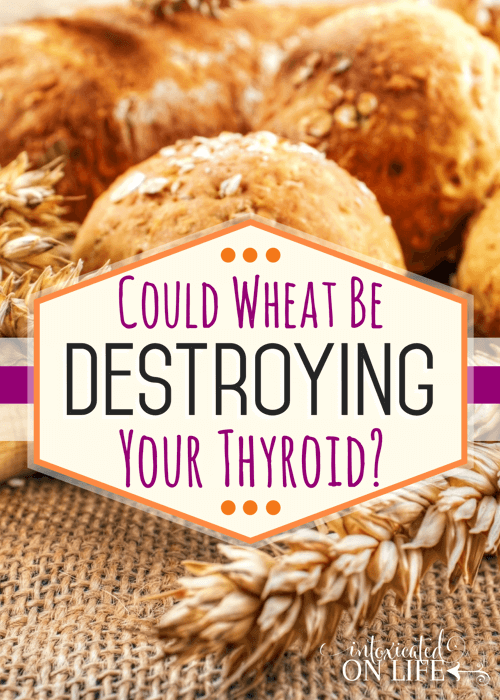 Gluten and Your Thyroid: Could Wheat Be Destroying Your Thyroid