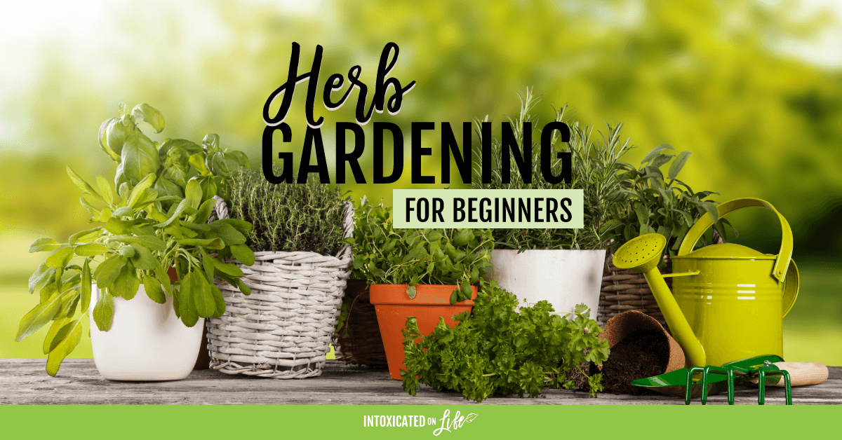 Herb Gardening For Beginners