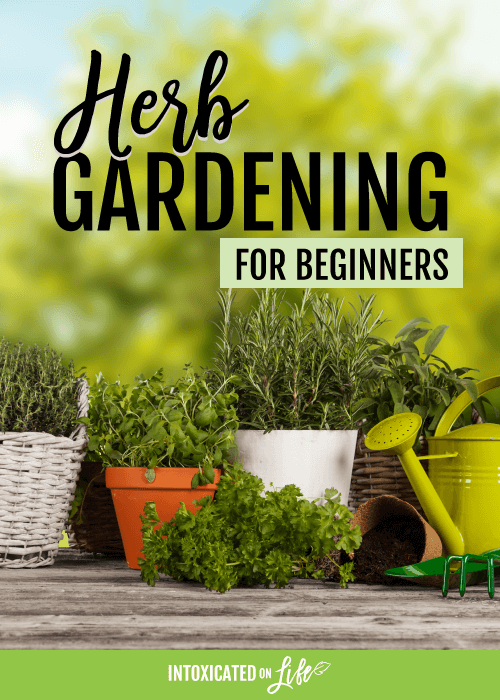 Herb Gardening For Beginners