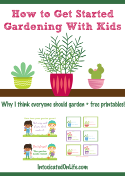 How to Get Started Gardening With Kids on IntoxicatedOnLife.com