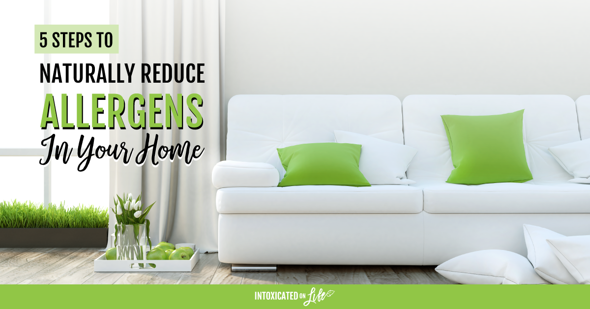 Naturally Reducing Allergens In Your Home Naturally Reducing Allergens In Your Home