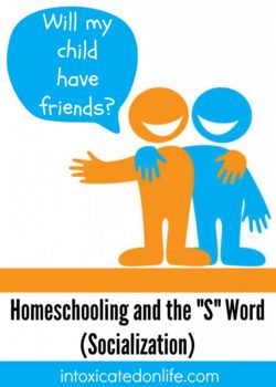 Homeschool-and-socialization-731x1024