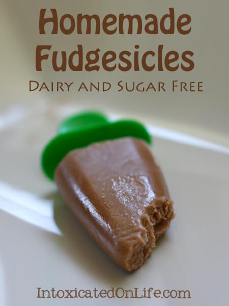 Homemade Fudgesicle Recipe - Dairy and Sugar Free