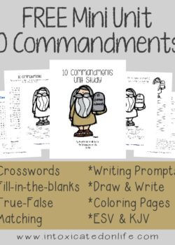 This 10 Commandment Unit Study contains 75+ pages of puzzles, writing prompts, coloring pages and MORE! Both ESV & KJV.