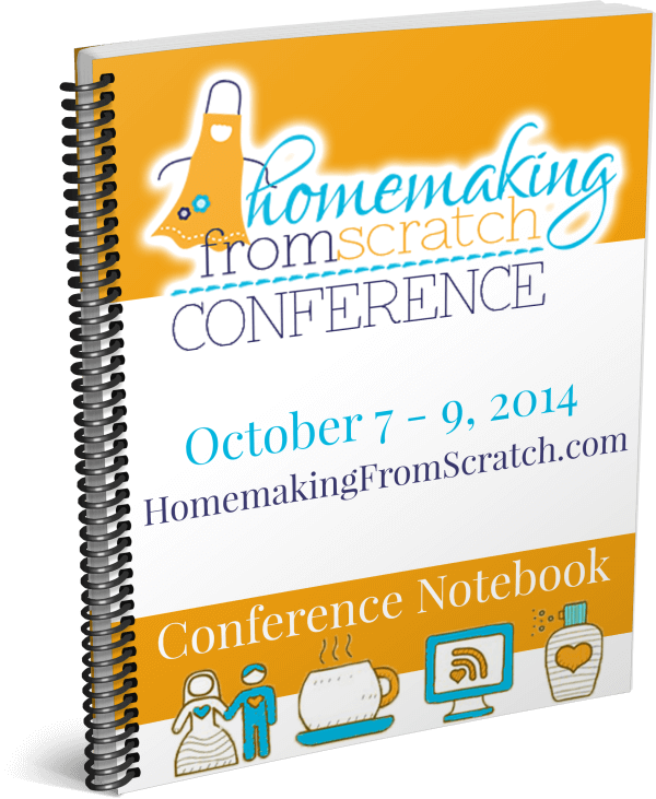 HFS-Conference-Notebook-3D-e1411803529835