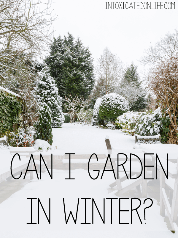 Can I Garden in the Winter?