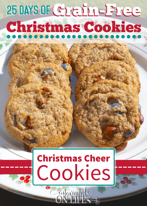 The best way to brighten your day - with these tasty grain-free Christmas Cheer Cookies, of course! Bake them and you're sure to put a smile on your families face :)