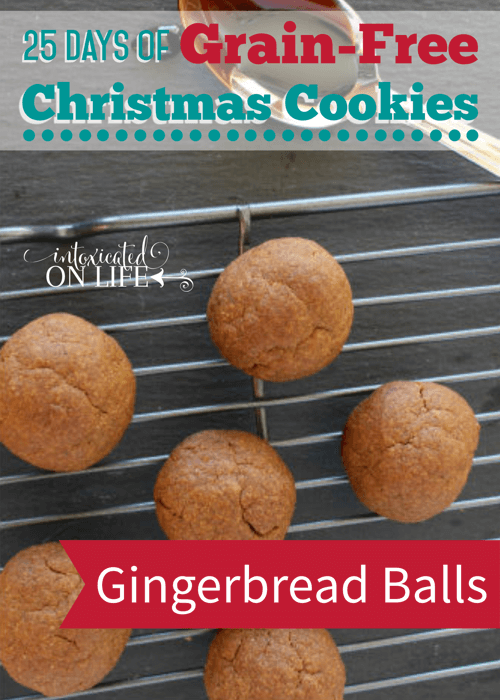 25DOGFCC-GingerbreadBalls