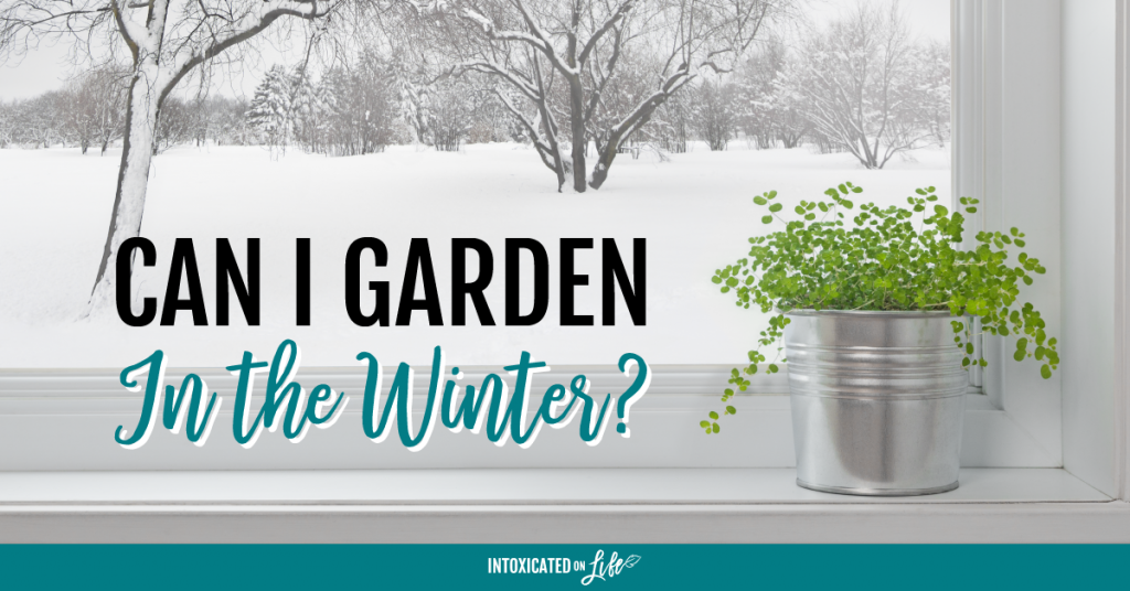 Can I Garden In The Winter FB