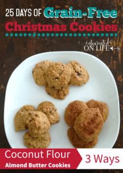 Coconut Flour Almond Butter Cookies