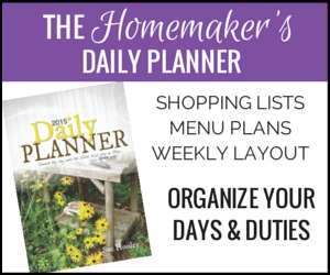 Daily-Planner-300x250-border