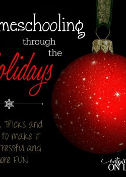 Homeschooling through the Holidays can be stressful or fun!! Here are some tips, tricks and ideas to make it a wonderful experience for you and them!