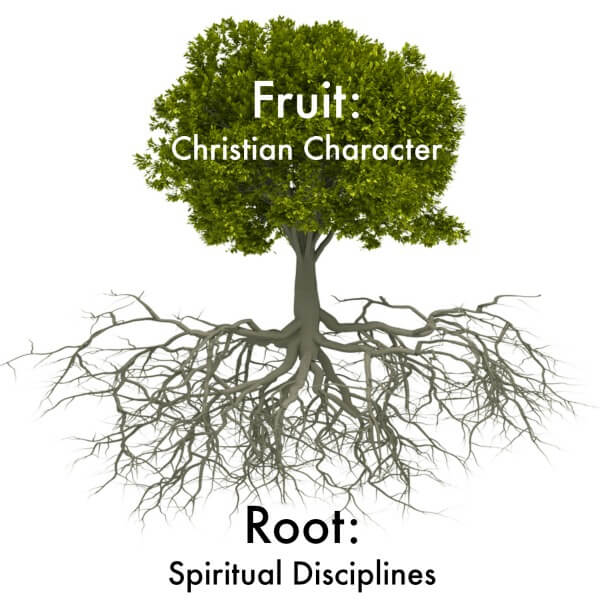 Spiritual Root System