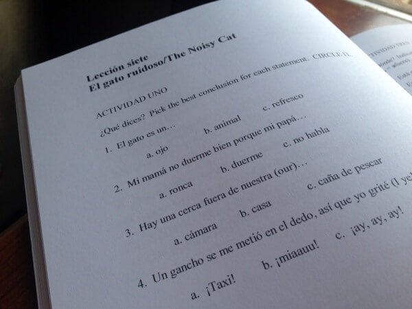 Excelerate Spanish uses a TPR approach—Total Physical Response—pairing vocabulary with action, stories, visuals, writing, and fun activities. https://www.intoxicatedonlife.com/2015/02/11/user-friendly-spanish-curriculum-excelerate-spanish/