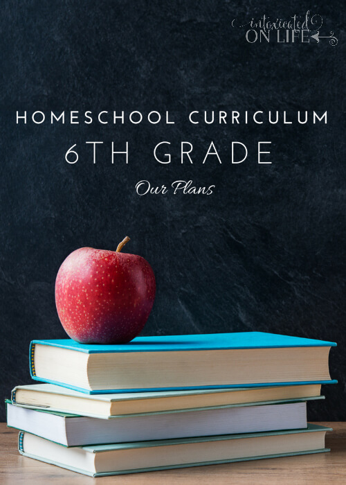 Our 6th grade homeschool curriculum plans... it's going to be a great year! 