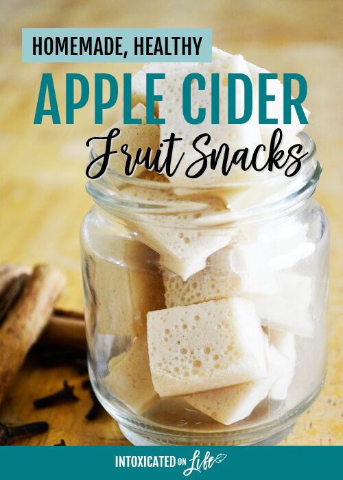 Homemade Healthy Apple Cider Fruit Snacks