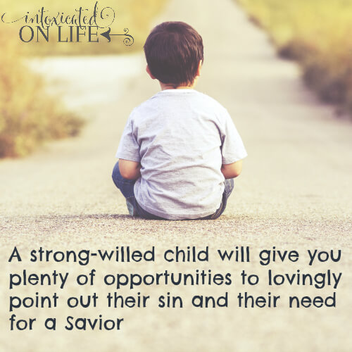 The Hidden Blessing of Strong Willed Children