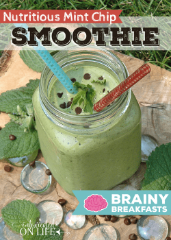 Nutritious Mint Chip Smoothie