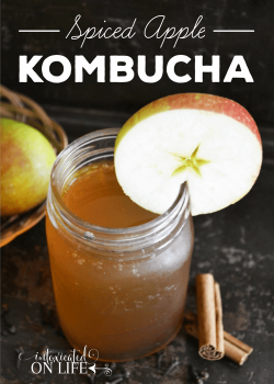 Spiced Apple Kombucha