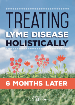 Treating Lyme Disease Holistically