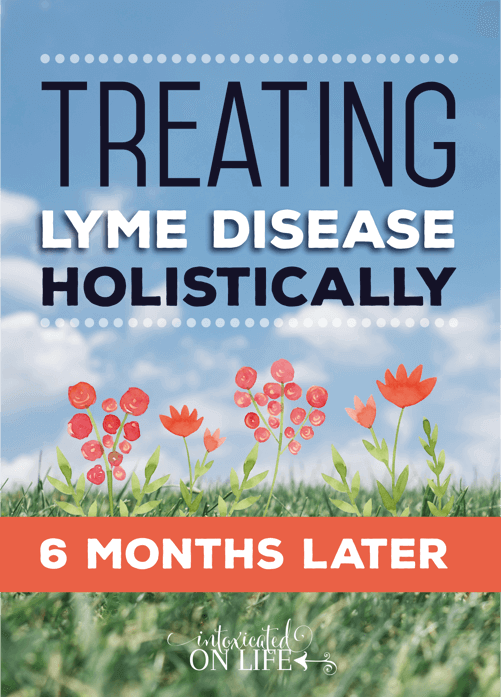 Treating Lyme Disease Holistically: 6 Months Later