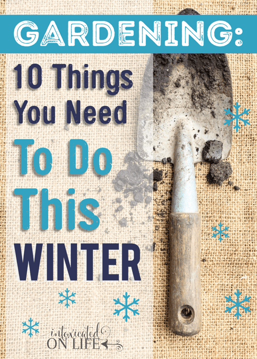 Gardening: important gardening tasks for the winter