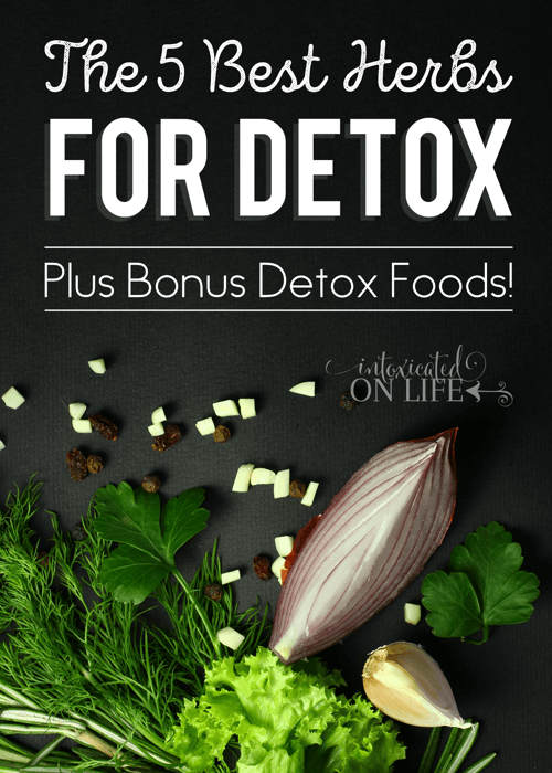 The5BestHerbsForDetox-PlusBonusDetoxFoods