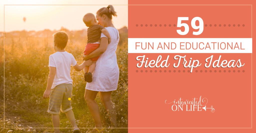 Fun and Educational Field Trip Ideas