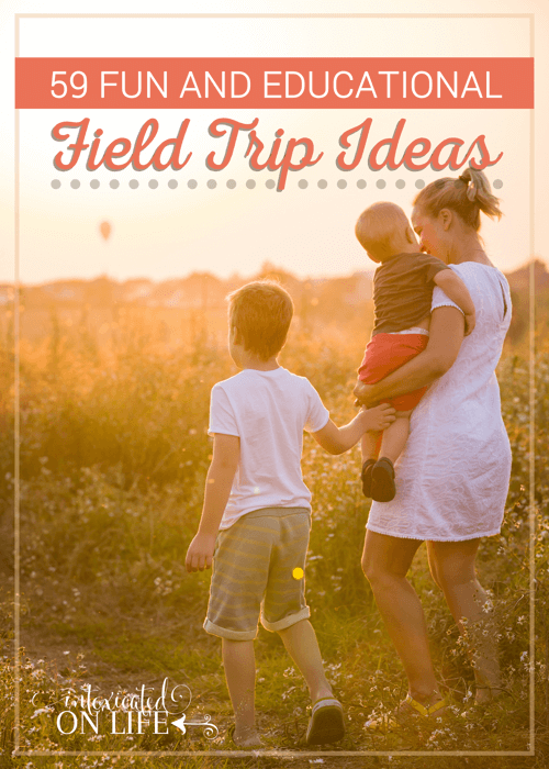 59 Fun And Educational Feild Trip Ideas