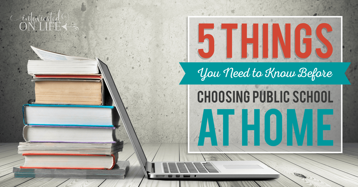 5 Things Youneed To Know Before Choosing Public School At Home