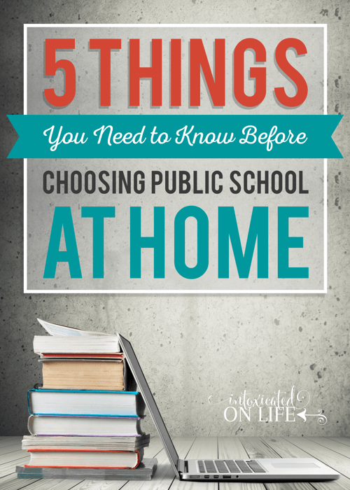 5 Things Youneed To Know Before Choosing Public School At Home