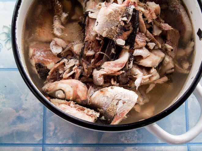 Russian Fish Stew with all the fish parts