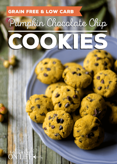 Pumpkin Chocolate Chip Cookies (grain free, low carb)