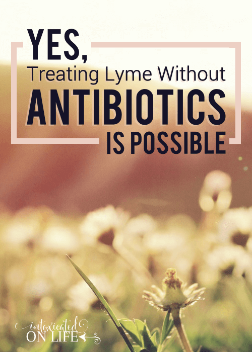 Yes Treating Lyme Without Antibiotics Is Possible