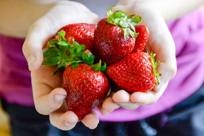 This delightful strawberry shortcake is not only grain-free, but it's made with honey, so it's a delicious summer treat you can thoroughly enjoy! https://www.intoxicatedonlife.com/honey-sweetened-grain-free-strawberry-shortcake/