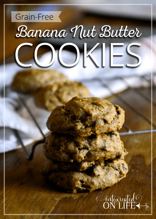 Grain Free Banana Nut Butter Cookies