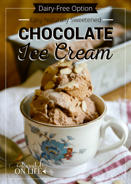  Easy Naturally Sweetened Chocolate Ice Cream